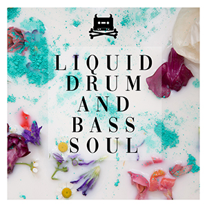 LIQUID DRUM AND BASS SOUL
