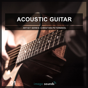 ACOUSTIC GUITAR 1