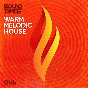 WARM MELODIC HOUSE BY BOUND TO DIVIDE