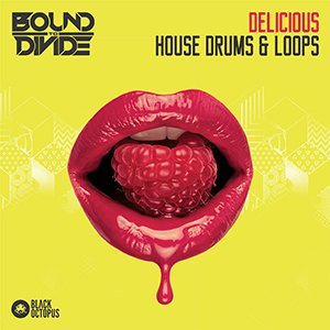 DELICIOUS HOUSE DRUMS & LOOPS