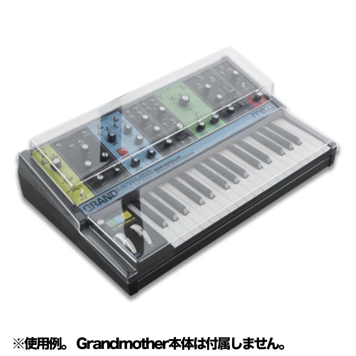 DS-PC-GRANDMOTHER