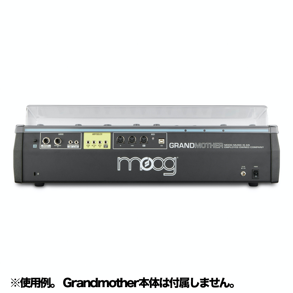 DS-PC-GRANDMOTHER