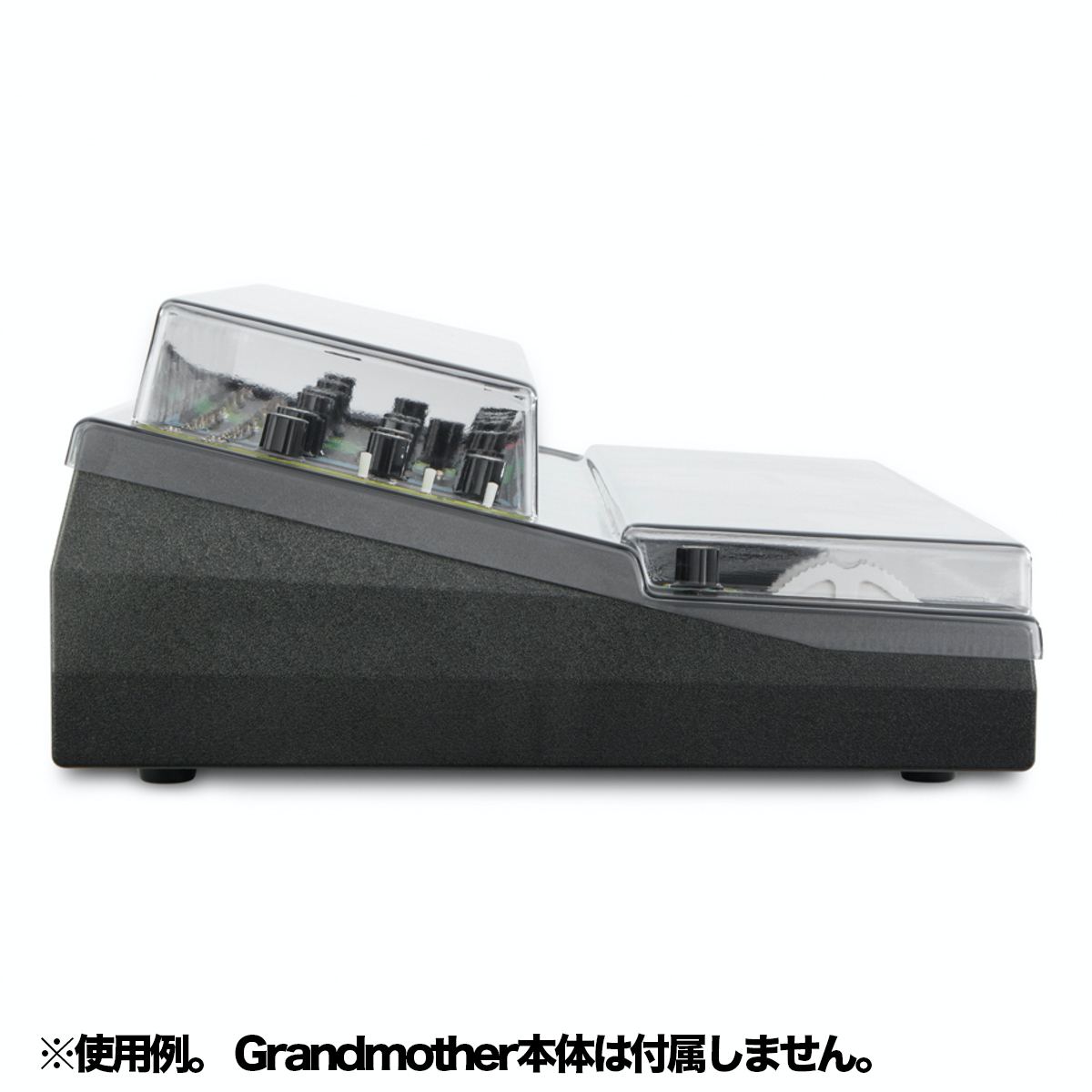 DS-PC-GRANDMOTHER