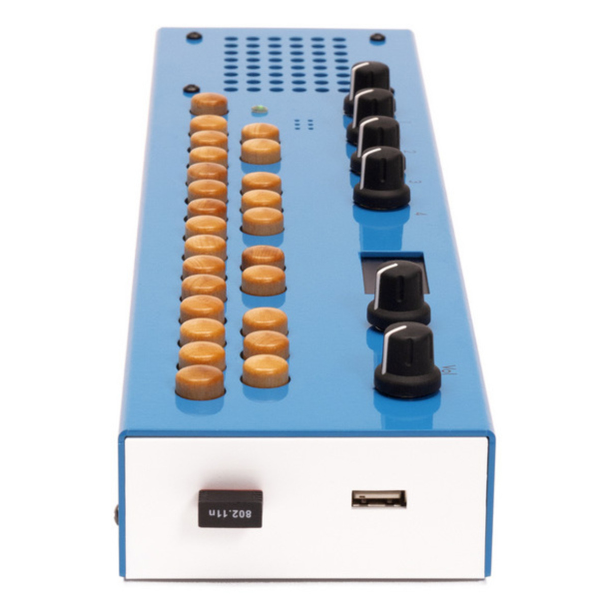 Organelle M