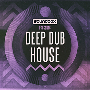 DEEP DUB HOUSE