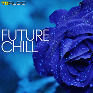 FUTURE CHILL