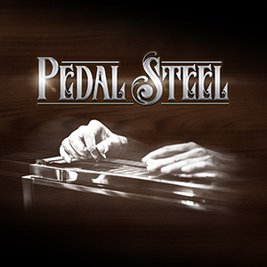 PEDAL STEEL