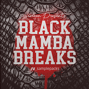 BLACK MAMBA BREAKS