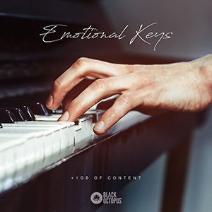 EMOTIONAL KEYS