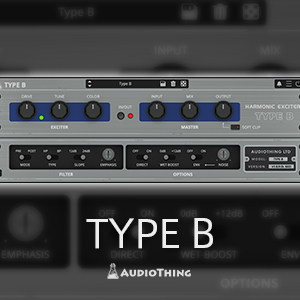 TYPE B