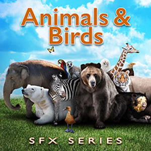 ANIMALS & BIRDS SFX SERIES
