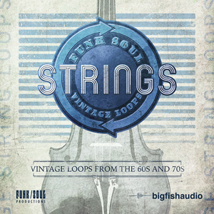 FUNK SOUL VINTAGE STRING LOOPS