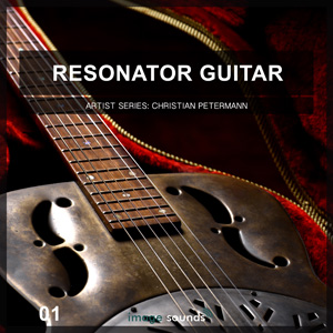 RESONATOR GUITAR 1