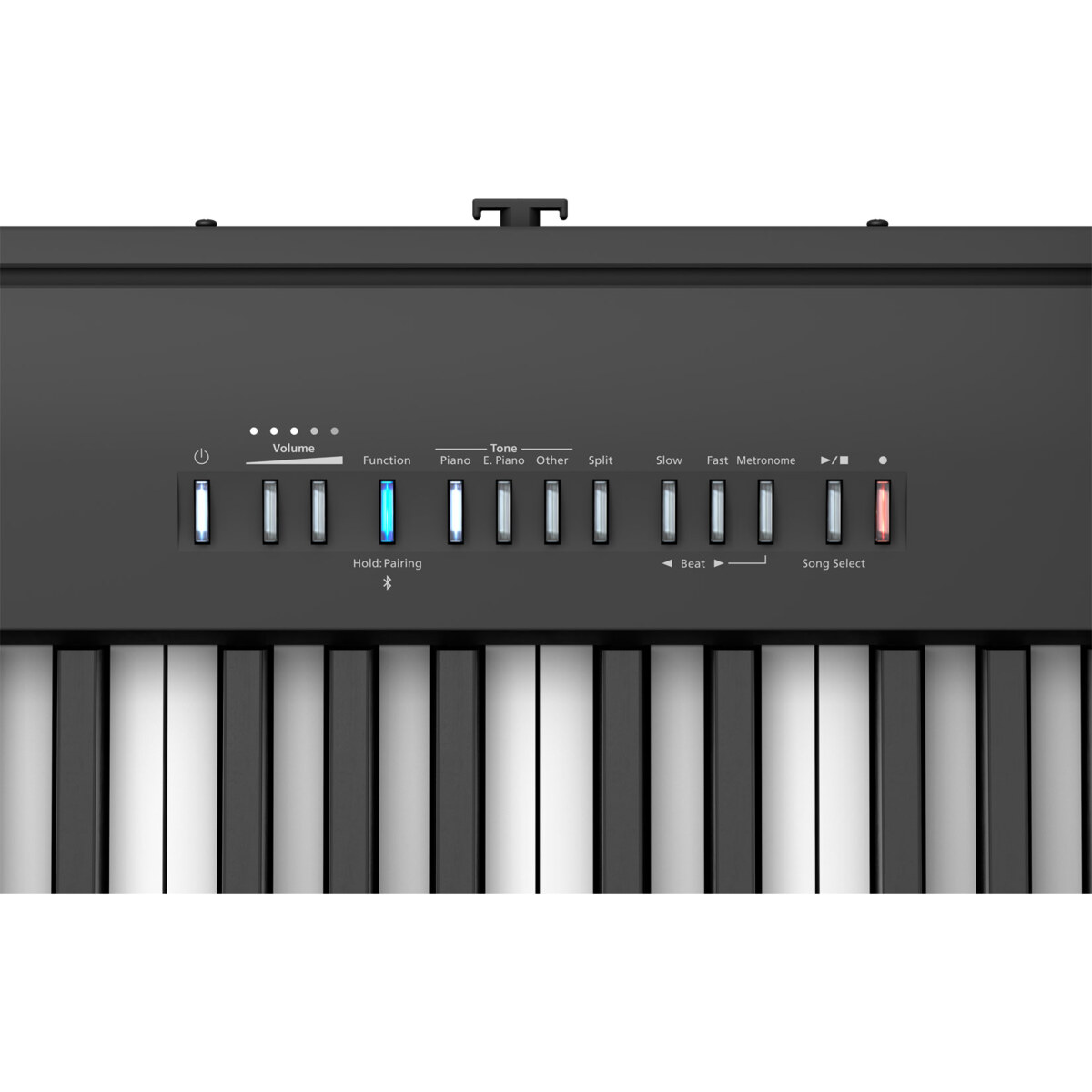 FP-30X-BK