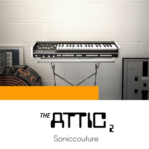 THE ATTIC 2