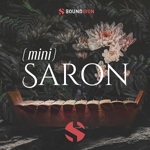 MINI SALON