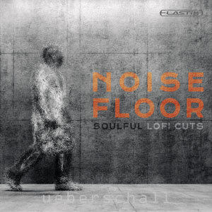 NOISE FLOOR