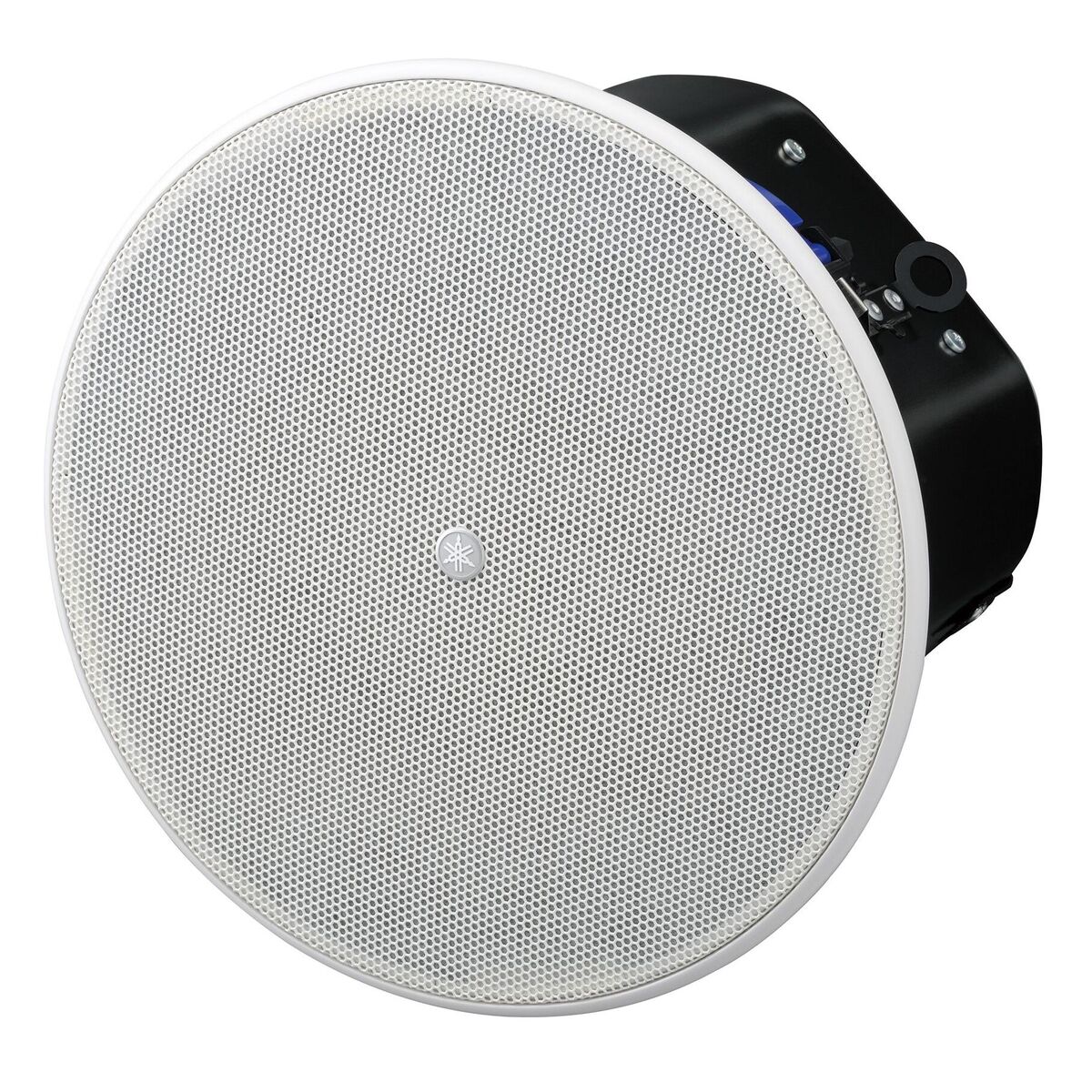 VXC6W (1ペア)