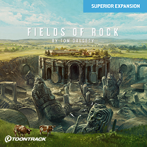 SDX - FIELDS OF ROCK