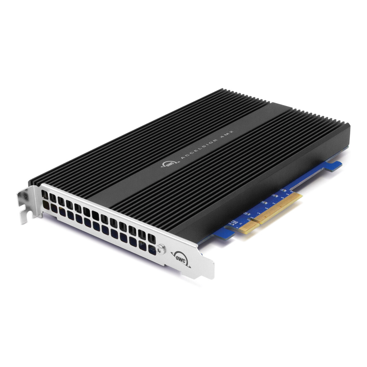 Accelsior 4M2（8.0 TB）