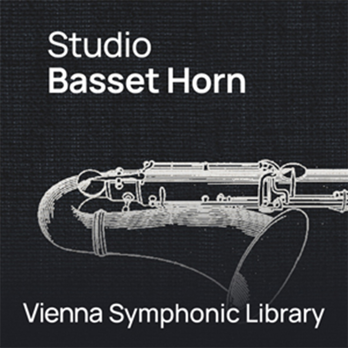 STUDIO BASSET HORN