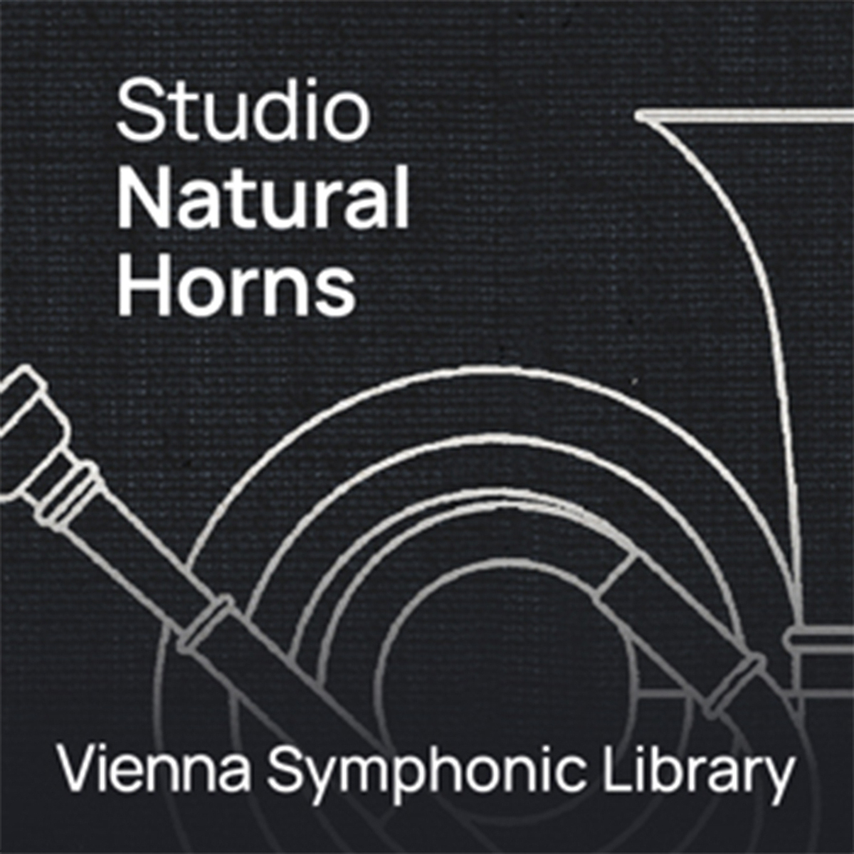 STUDIO NATURAL HORNS