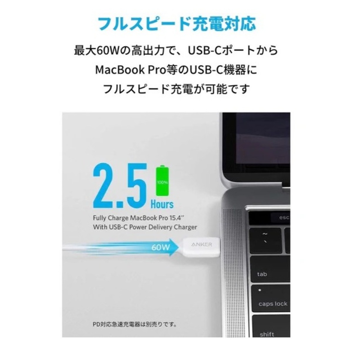 PowerLine III USB-C & USB-C ケーブル (USB2.0対応) 0.9m ブラック