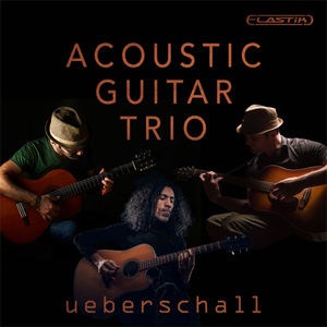 ACOUSTIC GUITAR TRIO