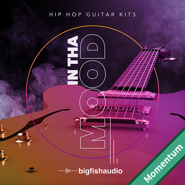 IN THA MOOD - HIP HOP GUITAR KITS MMT