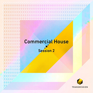 COMMERCIAL HOUSE SESSION 2