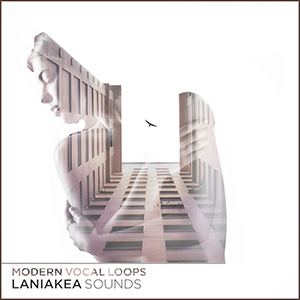 MODERN VOCAL LOOPS