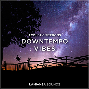 DOWNTEMPO VIBES