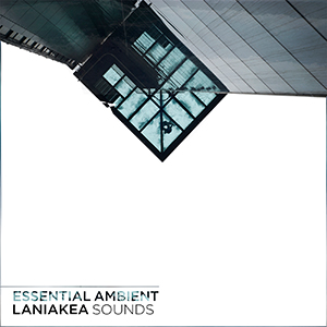 ESSENTIAL AMBIENT