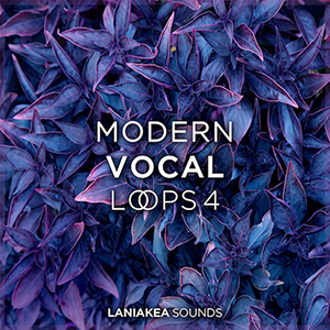 MODERN VOCAL LOOPS 4