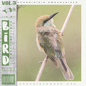 BIRD VOL 3
