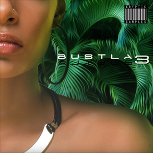 BUSTLA 3
