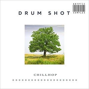 DRUM SHOT CHILLHOP