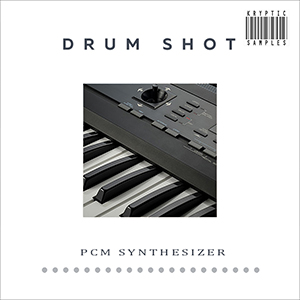DRUM SHOT PCM SYNTHESIZER