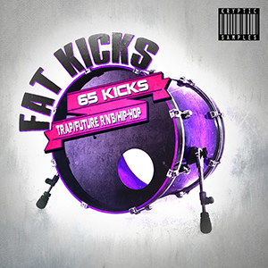 FAT KICKS