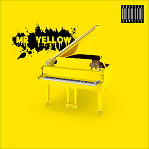 MR YELLOW
