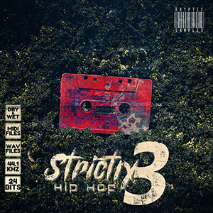 STRICTLY HIP-HOP 3
