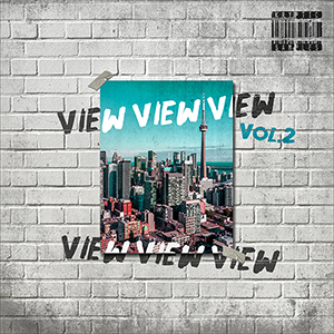 VIEW VOL 2