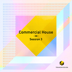 COMMERCIAL HOUSE SESSION 3