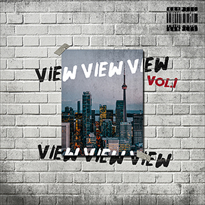VIEW VOL 1