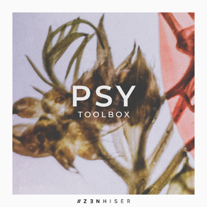 PSY TOOLBOX
