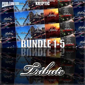 TRIBUTE BUNDLE (VOLS 1-5)