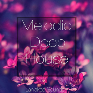 MELODIC DEEP HOUSE