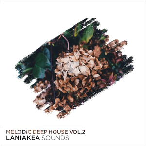 MELODIC DEEP HOUSE VOL 2