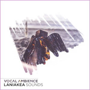 VOCAL AMBIENCE