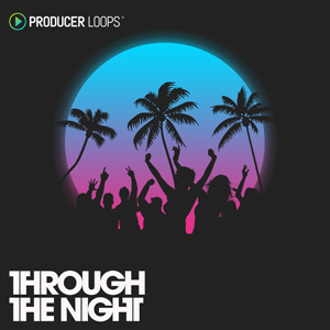 THROUGH THE NIGHT